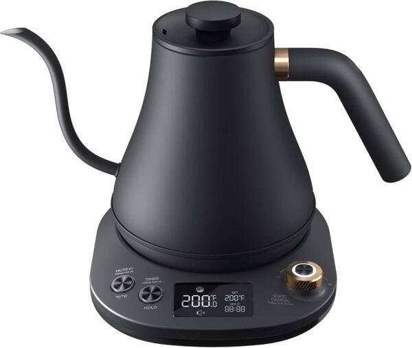 Electric Kettle with Temperature Control